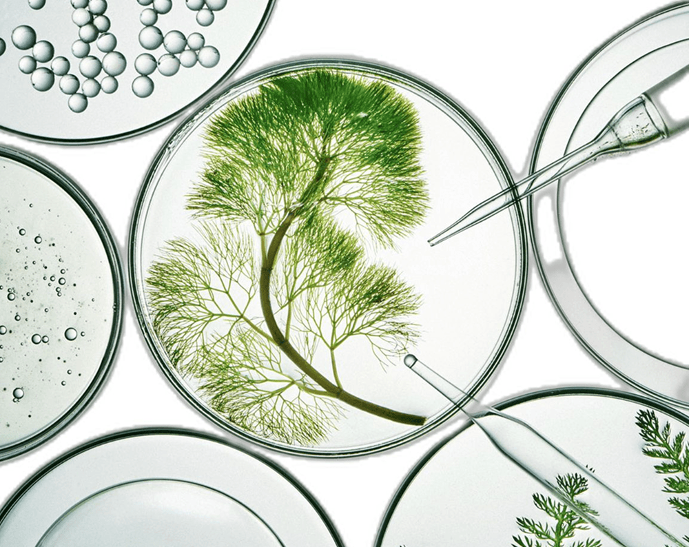 Earlywork uses Primary to automate their treasury management and maximise their yield.